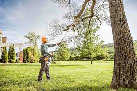 Lawn Maintenance Plans in Tamalpais Homestead Valley, CA
